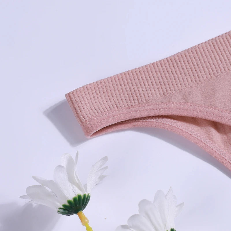 2PCS Women Panties Set Seamless Underwear Set Female Low Rise Briefs Underpants Sexy Lingerie Pantys 2022 Viralgem Store