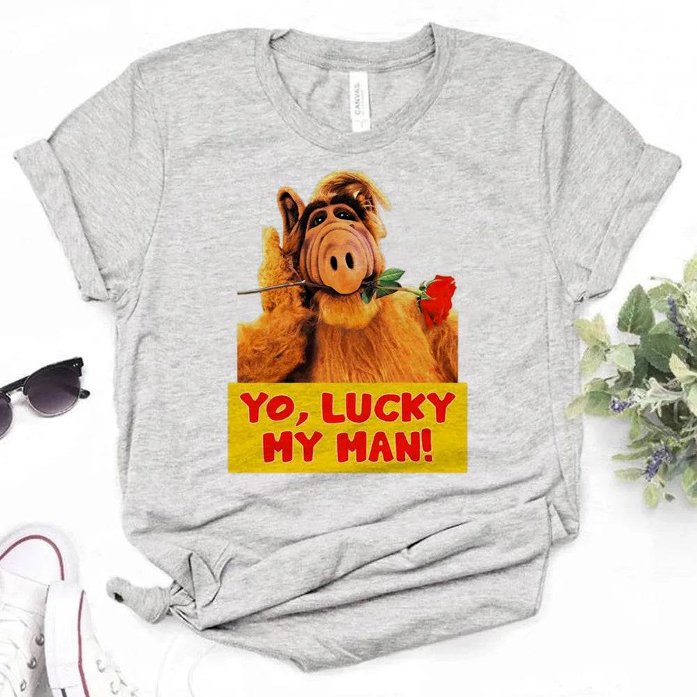 44535393517724|44535393550492|44535393583260|44535393616028|44535393648796|44535393779868