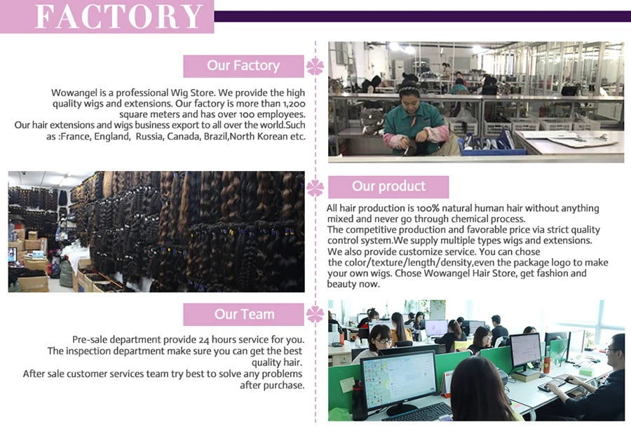 WowAngel 250% Upgraded 13x6 HD Lace Full Frontal Wigs Glueless Straight Human Hair Wigs Pre Plucked Natural Scalp Brazilian Hair Viralgem Store