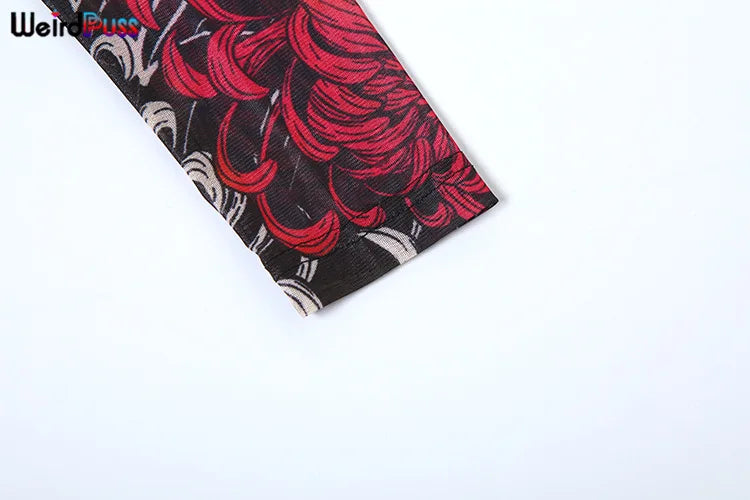 Weird Puss Thin Sheer Women Dress Mesh Contast Color Print High Waist Slim Fit Fashion Bodycon Nightout Clubwear Party Long Robe