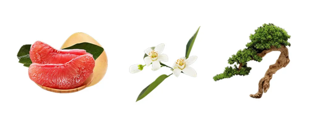 Unicorn Series Original Perfume Women 80ml духи Plant Floral Scent Spray Perfumes De Mujer Fresh Natural Pheromone Parfums Dames Viralgem Store