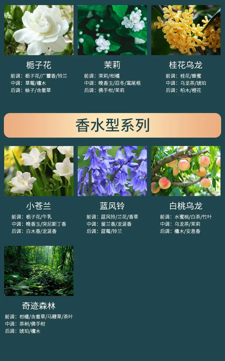 500ml Hilton Ritz Carlton Fragrance Oil For Home Perfumes Hotel Series Essential SPA Oils For Aromatic Diffuser DIY Perfume Viralgem Store