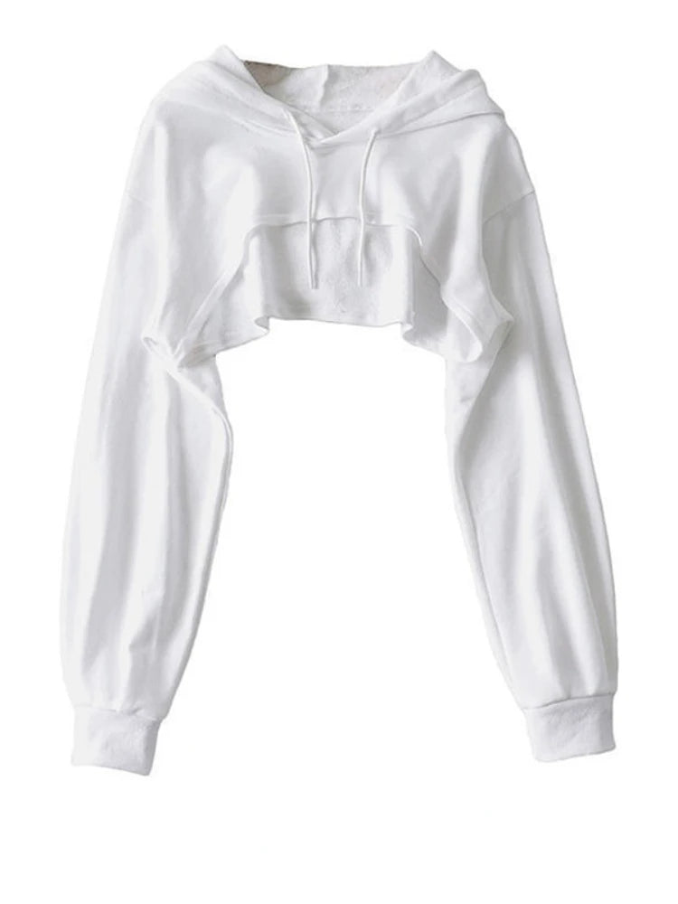 44401796907164|44401797071004|44401797103772