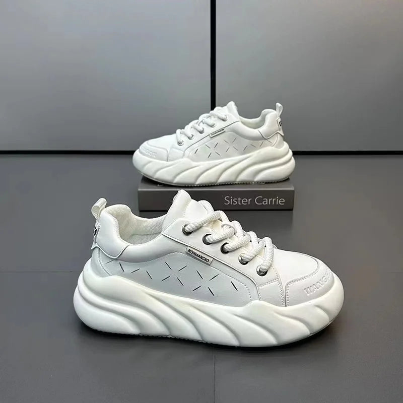 44420646109340|44420646174876|44420646240412|44420646305948|44420646371484|44420647747740