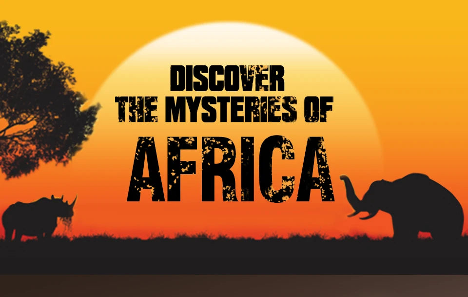 Super 5x Fenugreek Anti-Hair Loss Oil For Man Hair Treatment Fast Regrowth Thicken Oils Scalp Damaged  Repair Care Products Viralgem Store