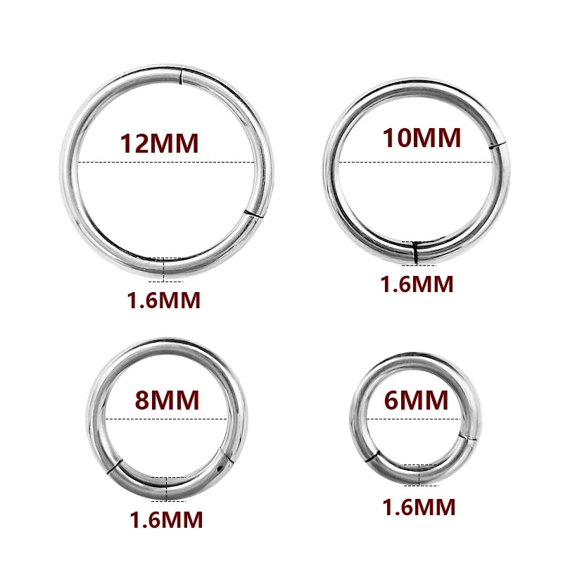 1PC Stainless Steel Nose Hoop Septum Piercing Clicker Hinged Segment Rings Lip Helix Daith Conch Cartilage Earrings Sexy Jewelry Viralgem Store