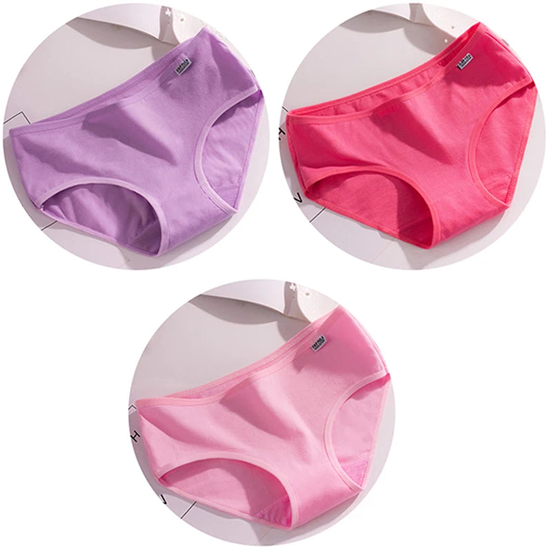 44490763403420|44490763436188|44490763468956