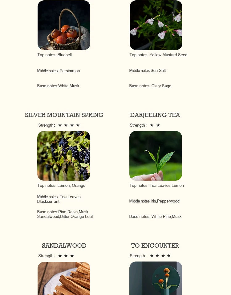 5ml Hotel Collection Essential Oil Scent Hotel Inspired Aromatherapy Scent Diffuser Oil Perfumes for Essential Oil Diffusers