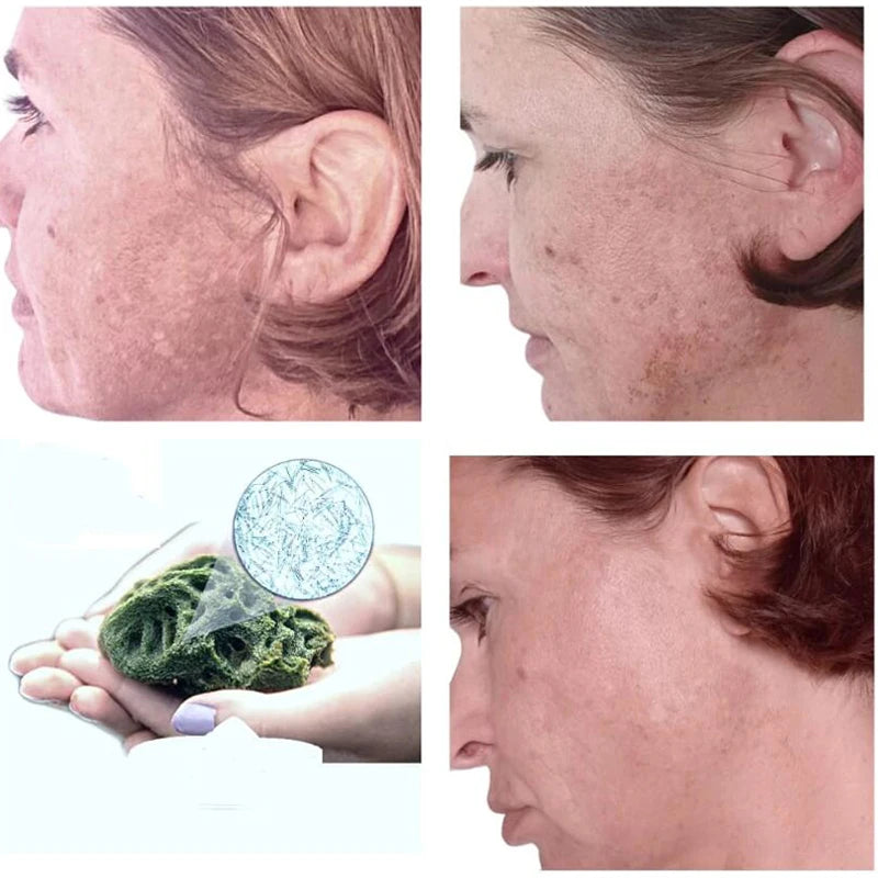 10pcs Sponge Microcrystal Freeze-dried Powder Collagen Regeneration Natural Biological Extract Sponge Spicules Skin Cell Renew Viralgem Store