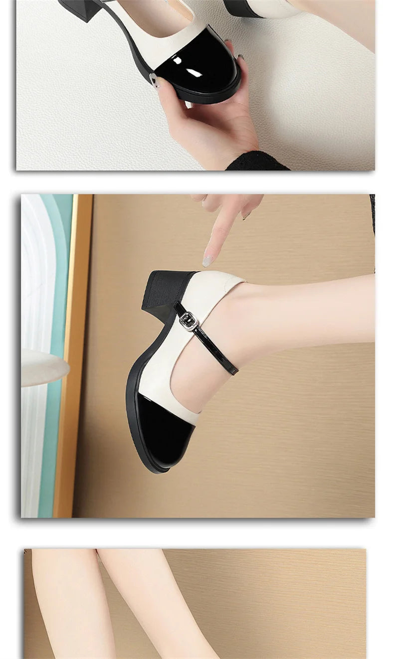Women Shoes 2024 New Fashion Retro Round Toe Soft Leather Casual Mary Jane Shoes Shallow Mouth Waterproof Platform Shoes Viralgem Store