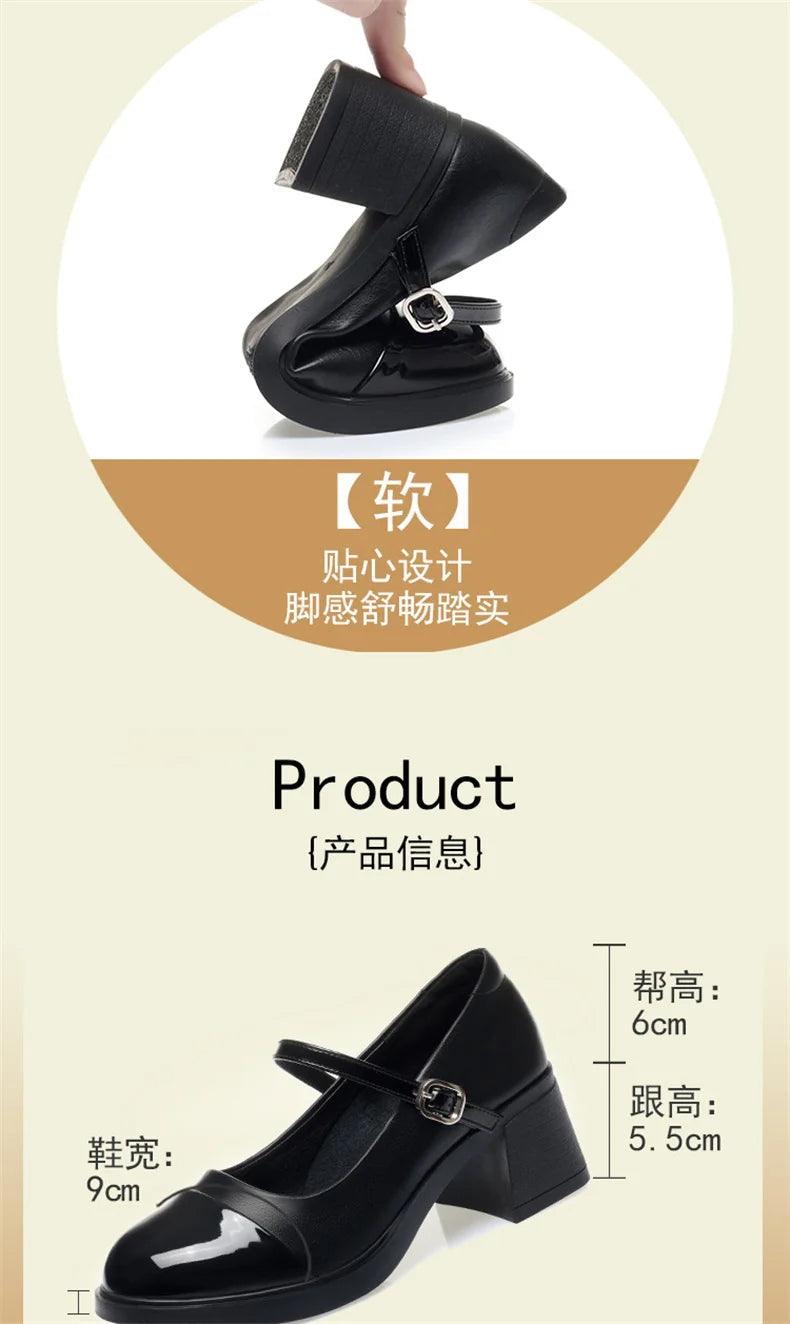 Women Shoes 2024 New Fashion Retro Round Toe Soft Leather Casual Mary Jane Shoes Shallow Mouth Waterproof Platform Shoes Viralgem Store