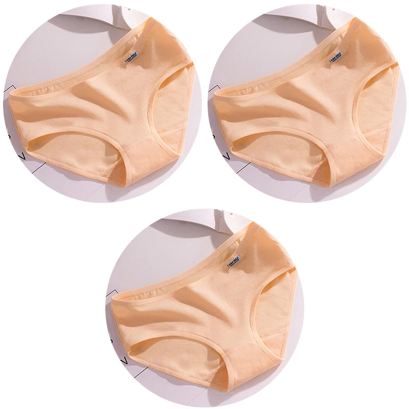 44490763534492|44490763567260|44490763600028