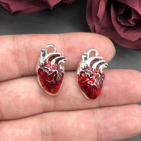 5pcs 25*14mm Human Heart Organ Charms Science Medicine Anatomical Pendant Biology Jewelry Finding.DIY.charms for jewelry making Viralgem Store