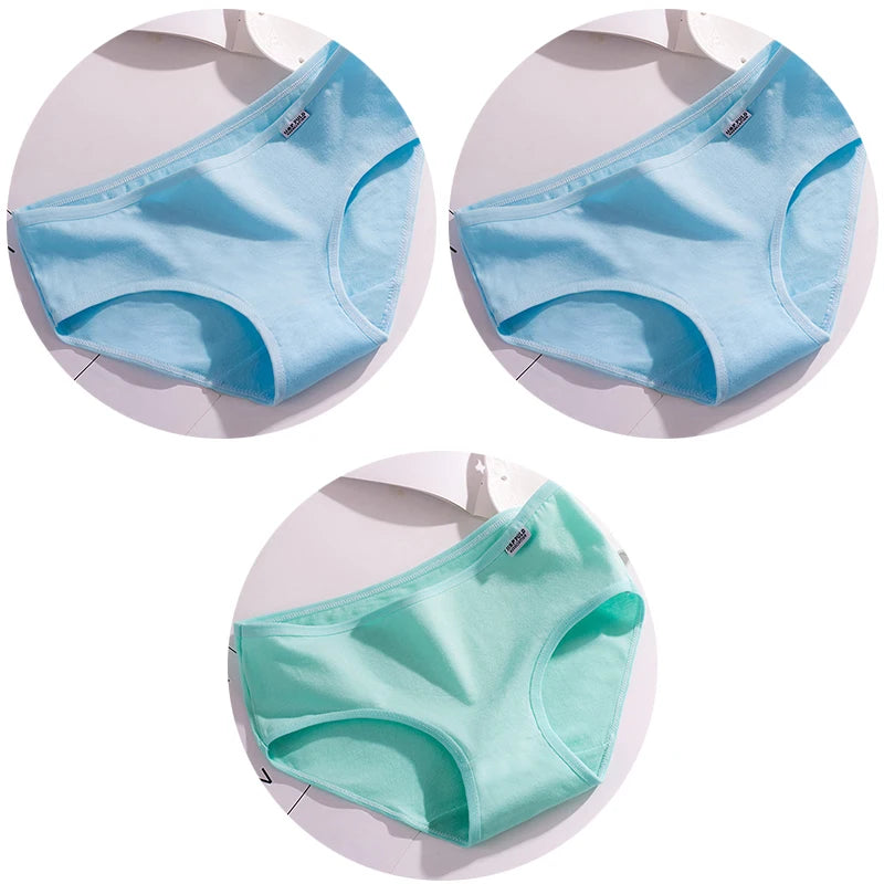 44490763993244|44490764124316|44490764189852