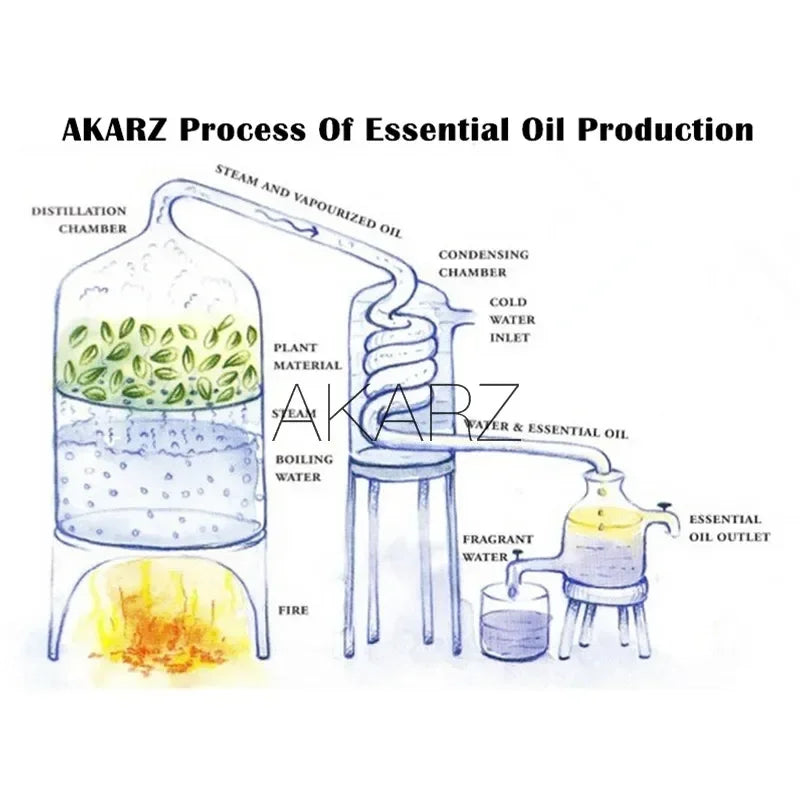 AKARZ Unique Rare Essential Oil Aromatic for Aromatherapy Diffusers Face Body Skin Care Massage Aroma Perfume Oil Viralgem Store