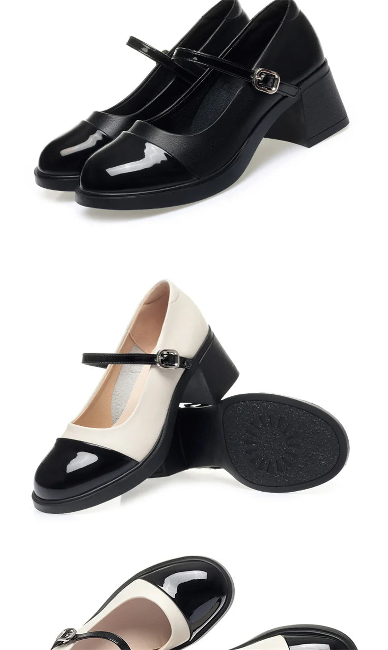 Women Shoes 2024 New Fashion Retro Round Toe Soft Leather Casual Mary Jane Shoes Shallow Mouth Waterproof Platform Shoes Viralgem Store