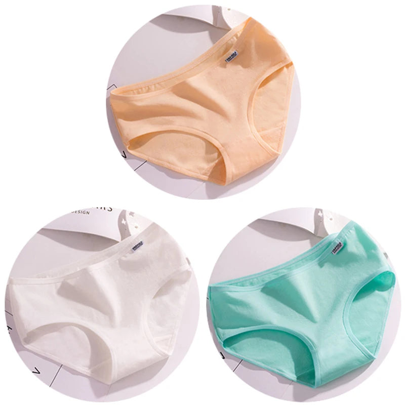 44490765664412|44490765729948|44490765762716