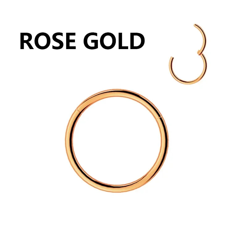 1PC Stainless Steel Nose Hoop Septum Piercing Clicker Hinged Segment Rings Lip Helix Daith Conch Cartilage Earrings Sexy Jewelry Viralgem Store