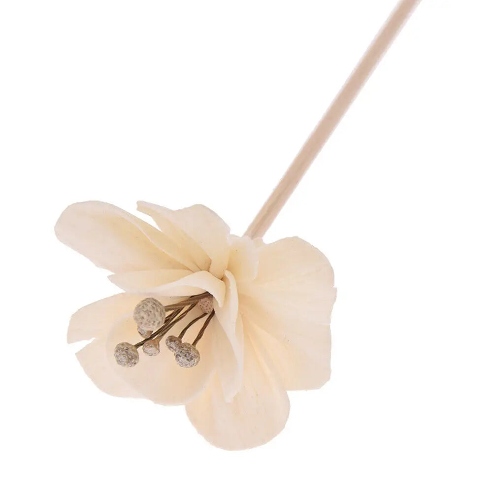 5X Artificial Flower Rattan Sticks Reed Diffuser Aroma Fragrance Replacement DIY