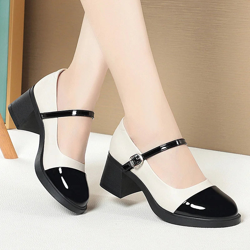 Women Shoes 2024 New Fashion Retro Round Toe Soft Leather Casual Mary Jane Shoes Shallow Mouth Waterproof Platform Shoes Viralgem Store