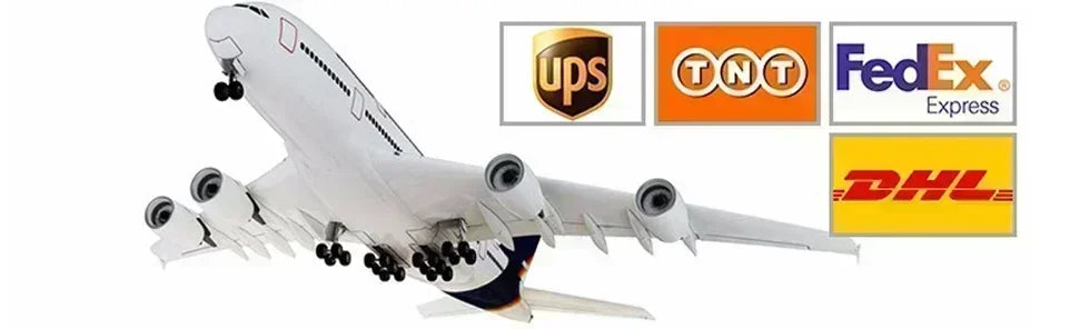 2024 New High Quality Cotton Women's Short Sleeve Guns N Roses T-Shirt Women's Comic Clothes Loose Casual Short Sleeve Top