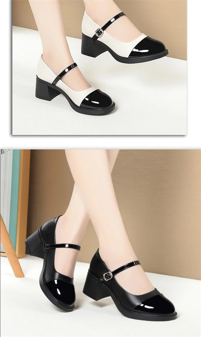 Women Shoes 2024 New Fashion Retro Round Toe Soft Leather Casual Mary Jane Shoes Shallow Mouth Waterproof Platform Shoes Viralgem Store