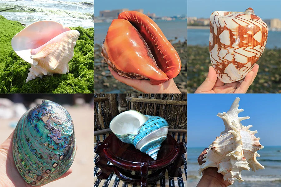 1-50PCS White Sage & Palo Santo for Smudging, Healing Purify Natural Incense Sticks Wooden Smudging Strips Aroma Diffuser Stains