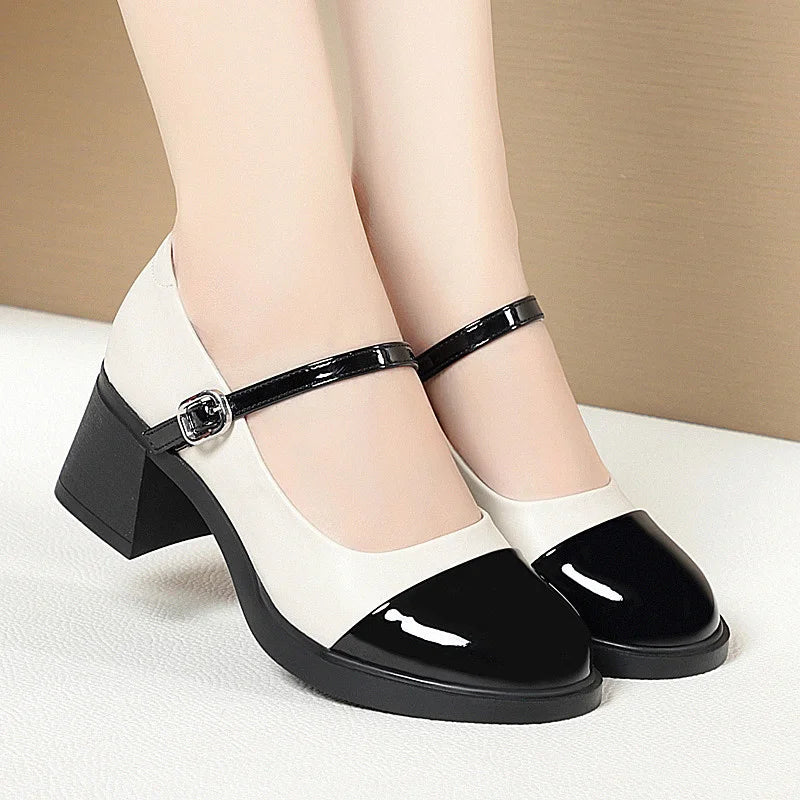 Women Shoes 2024 New Fashion Retro Round Toe Soft Leather Casual Mary Jane Shoes Shallow Mouth Waterproof Platform Shoes Viralgem Store