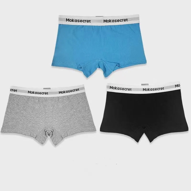 44490821795996|44490821992604|44490822025372|44490822058140