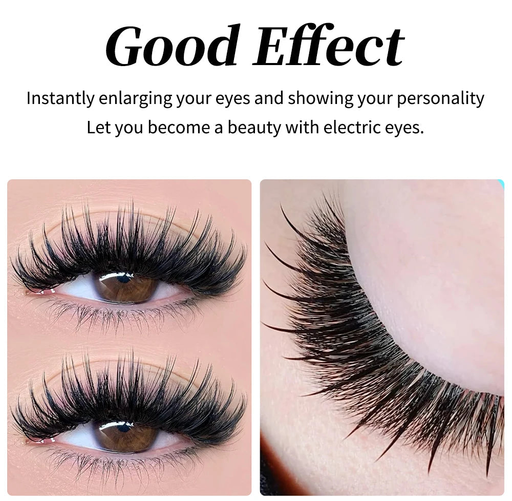 winky beauty 12Rows A/M Shape Spikes Lashes Individual Wispy Premade Fans Eyelash Extension Self-Grafting Makeup False Eyelashes Viralgem Store