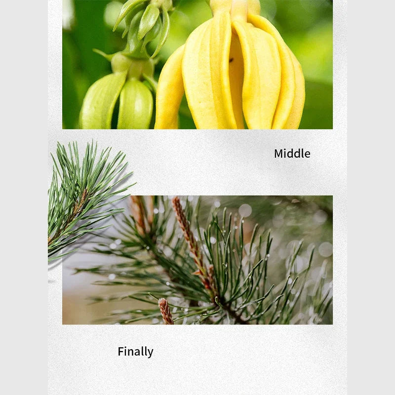 Wild Men Perfume Citrus Light Fragrance Ambergris Lasting Fresh Cologne Masculine Woody Fragrance Savage Man Brand Perfume New