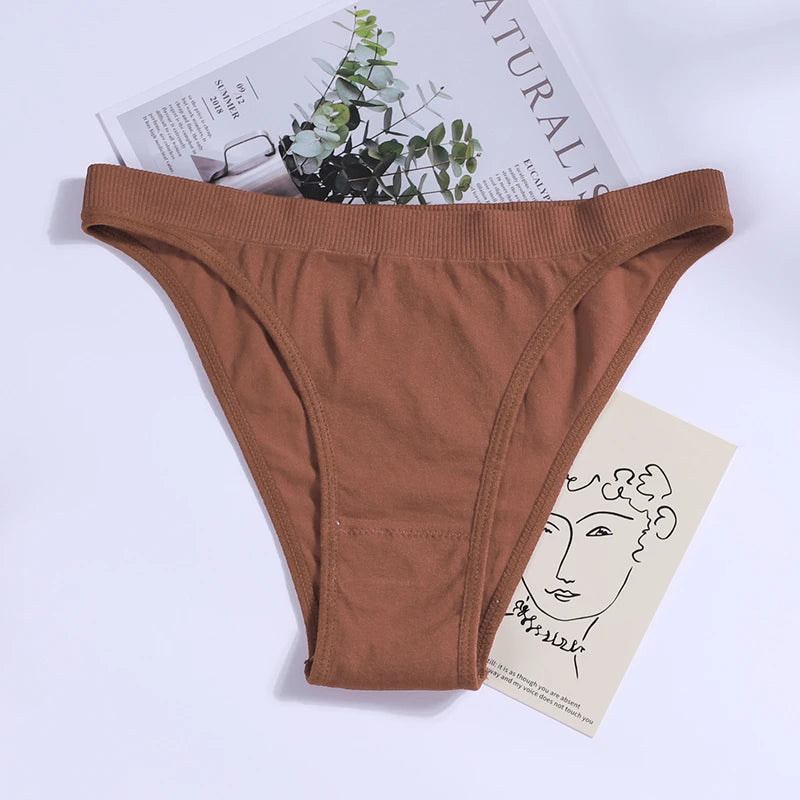 2PCS Women Panties Set Seamless Underwear Set Female Low Rise Briefs Underpants Sexy Lingerie Pantys 2022 Viralgem Store
