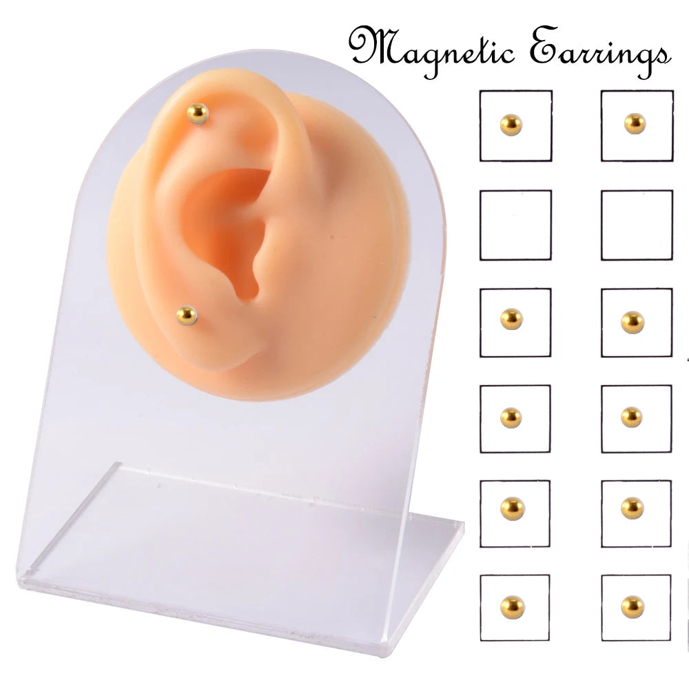 12PCS/Card Fake Cheater Non Pierced Magnet Ear Tragus Cartilage Lip Labret Stud Nose Ring  Jewelry Magnetic Earring Viralgem Store