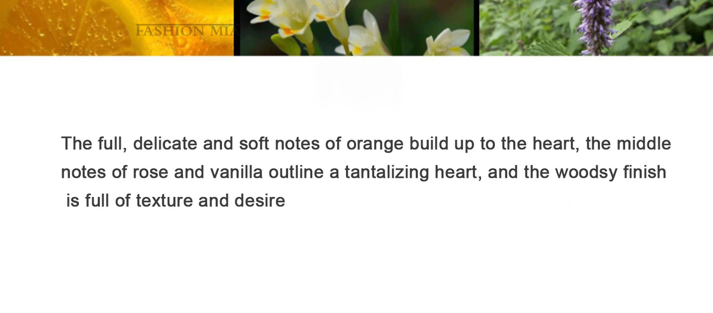 50ml Brand Perfume For Women Men's Long Lasting Atomizer Sexy Lady Fragrance Wood Good Girl Love Don't Be Shy Perfume