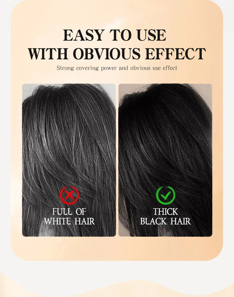 2-in-1 Hair Color Brush & Comb - Instant Gray Coverage, On-The-Go Root Touch Up, Washable Temporary Black Dye for Men/Women Viralgem Store