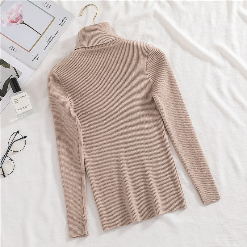 Women Turtleneck Sweater Knitted Soft Pullovers Cashmere Jumpers Basic Soft Sweaters For Women 2024 Autumn Winter