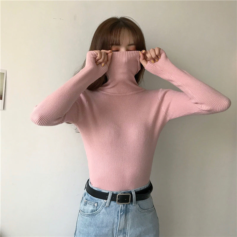 Women Turtleneck Sweater Knitted Soft Pullovers Cashmere Jumpers Basic Soft Sweaters For Women 2024 Autumn Winter