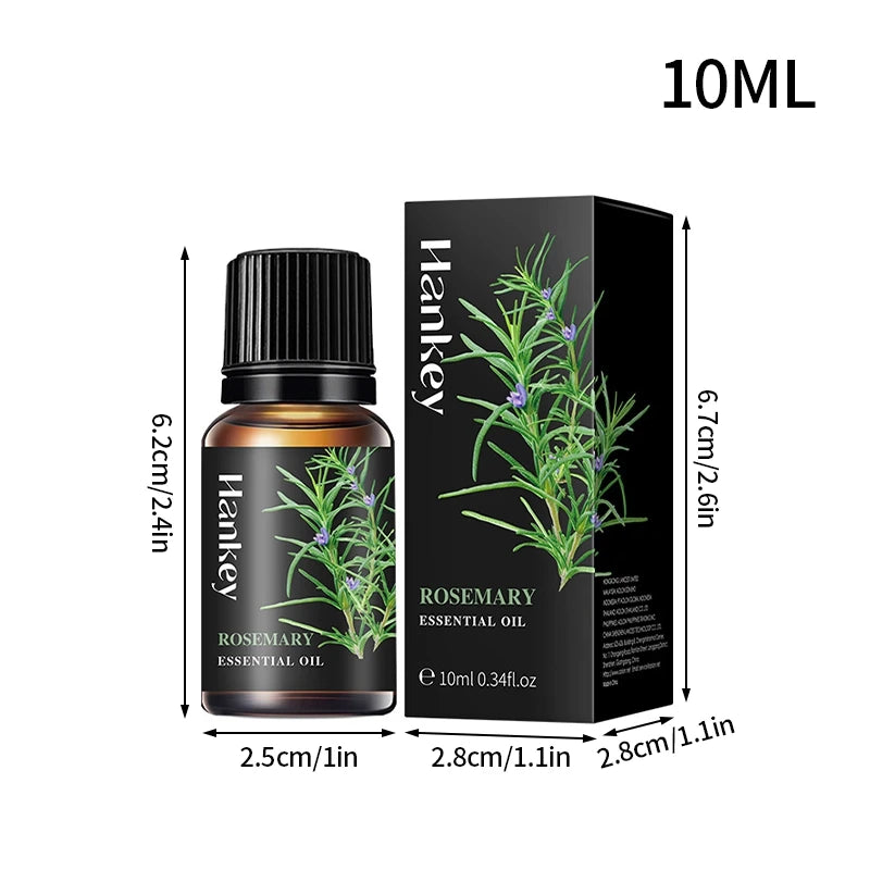 10ml Essencial Fragrance Oil for DIY Candles Making Pure Nature Oil for Diffuser Aromatherapy Fragrance Oil Vanilla Lavender Viralgem Store