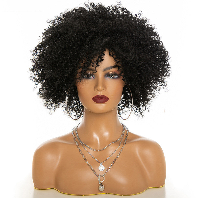 Afro Kinky Curly Hair Wigs Afro Kinky Curly Hair Wigs Viralgem Store