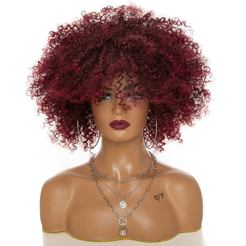 Afro Kinky Curly Hair Wigs Afro Kinky Curly Hair Wigs Viralgem Store