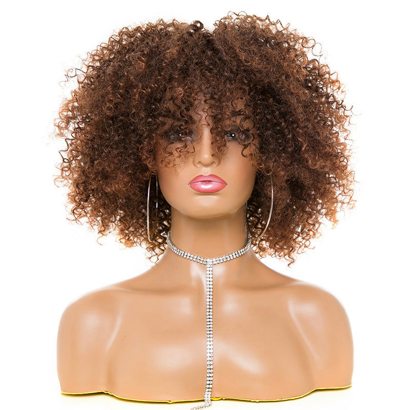 Afro Kinky Curly Hair Wigs Afro Kinky Curly Hair Wigs Viralgem Store